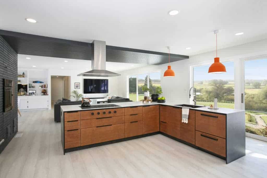 modern open layout kitchen with scandinavian cabinetry
