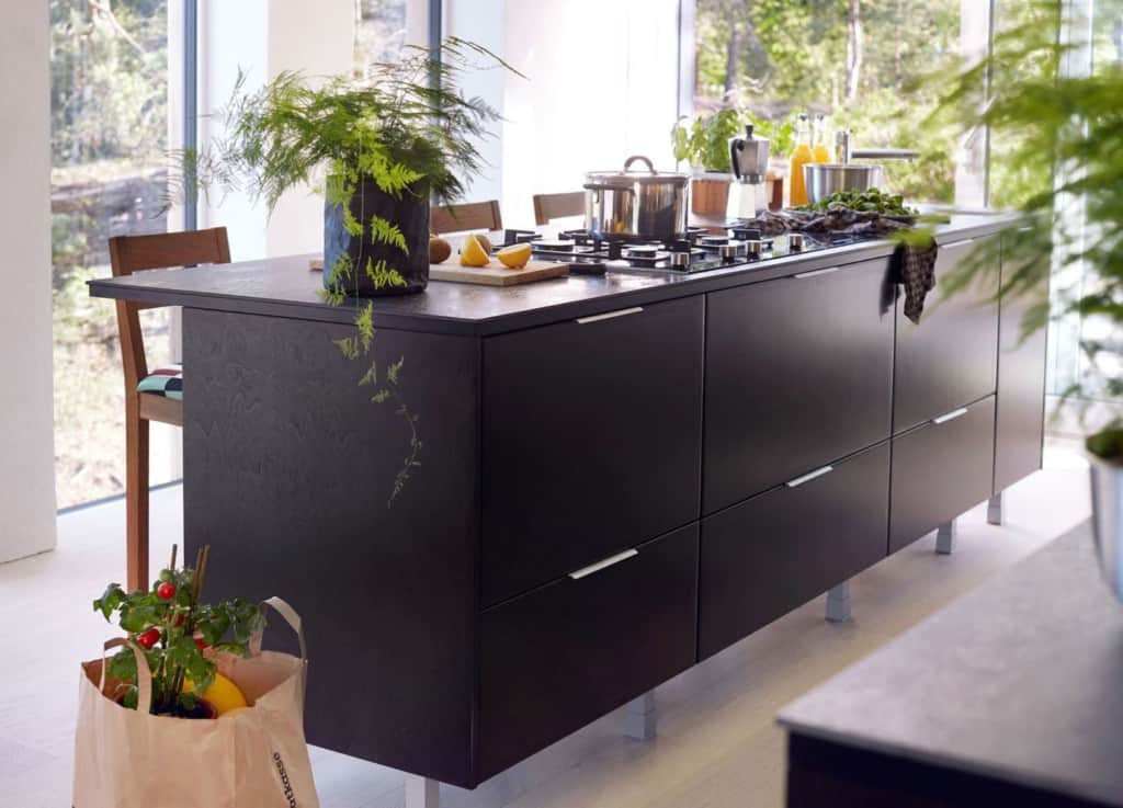 12 Bold Black Kitchens With Modern Flair [Pictures] 4
